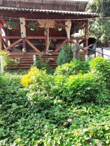 a garden with a wooden pergola with flowers at PERLA CĂLIMANILOR in Vatra Dornei