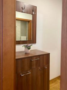 ein Badezimmer mit einem Holzschrank und einem Spiegel in der Unterkunft Lavanda san - Vrnjačka Banja in Vrnjačka Banja