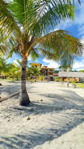 a palm tree on a sandy beach with a building at Hotel Cielo Azul in Atacames