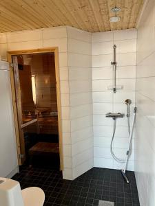 a bathroom with a shower and a toilet in it at Villa Breikki, Himos in Jämsä