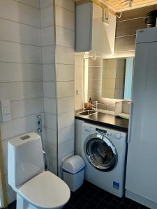 uma pequena casa de banho com uma máquina de lavar roupa e um lavatório em Villa Breikki, Himos em Jämsä