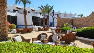 een patio met stoelen en palmbomen voor een gebouw bij Turquoise Beach Hotel in Sharm El Sheikh