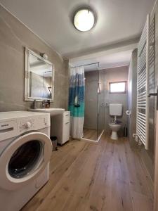 ein Badezimmer mit einer Waschmaschine und einem WC in der Unterkunft Apartman Aterina in Korčula
