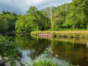 een rivier met bomen aan de zijkant bij The Loft Cottage in Totnes