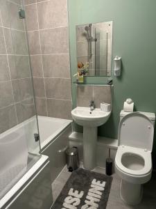 a bathroom with a toilet and a sink and a shower at The Angel Inn in Troed-y-rhiw