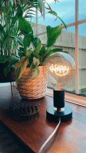 a lamp on a table with a plant and a basket at Victorian quirky farm cottage next to forest & close to beach in Woodbridge