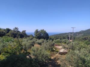 a view of a hill with bushes and trees at Sergi Home in Raches