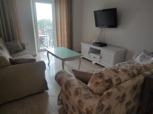 Il comprend un salon doté d'un canapé et d'une table avec une télévision. dans l'établissement Apartment Petrovac, à Petrovac na Moru