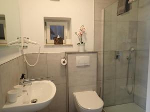 une salle de bain avec toilettes, lavabo et douche dans l'établissement Karlbacher Domizil Ferienwohnungen, à Großkarlbach
