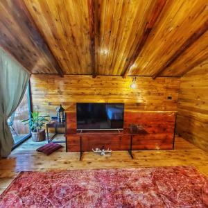 a living room with wooden walls and a flat screen tv at Coratina Cottage in Ulcinj