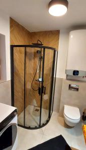 a shower stall in a bathroom with a toilet at Hrube DOMKI Zakopane in Zakopane +32 photos