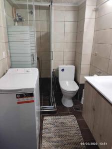 a bathroom with a toilet and a shower and a sink at Melina's Place in Pefkohori