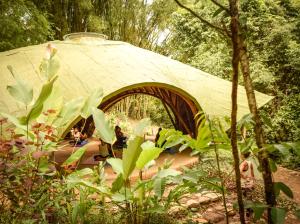 a group of people sitting in a tent in a forest at SelvaMinca in Minca