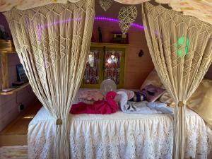 1 dormitorio con cama con dosel y cortinas en Roulotte pour une nuit en amoureux tout équipée.., en Noyelles-sur-Mer