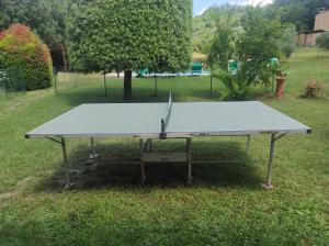 una mesa de ping pong en la hierba en un parque en Il Colombaiolo en Castelmuzio