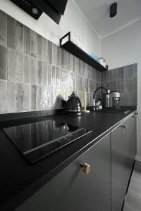 VISLA Apartments 2 주방 또는 간이 주방