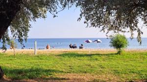 a group of people on a beach with umbrellas at Beachfront apartment 10m from the beach in Paralia Dionysiou +6 photos