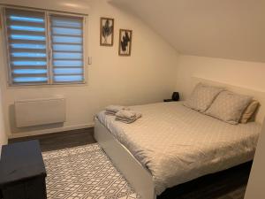 een slaapkamer met een bed en een raam bij Coquet appartement aux pieds des montagnes in Scionzier