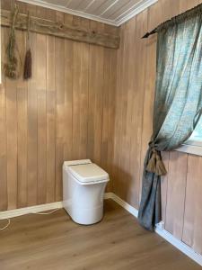 a bathroom with a toilet and a shower curtain at Hadeland Cottage in Lunner
