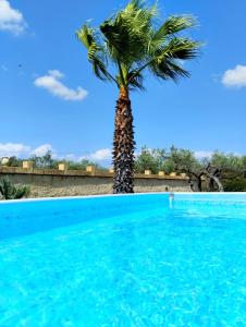 a palm tree sitting next to a swimming pool at Casa Vacanze 'Al Giardino degli Ulivi' in Marinella di Selinunte