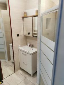 a bathroom with a sink and a mirror at Town Square Apartment in Lublin