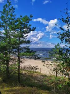 uma vista para uma praia com árvores no primeiro plano em Baltic Garden em Sztutowo