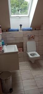 a bathroom with a toilet and a sink and a window at Agroturystyka Gandelinka Park Kędrzyno in Kędrzyno