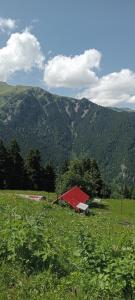 eine rote Scheune auf einem Feld mit einem Berg in der Unterkunft Alkurtoğlu Pansiyon&cafe& restoran in Macka