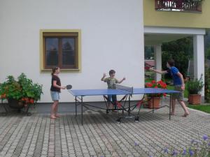 Stolný tenis v ubytovaní Waldschönau alebo v jeho okolí