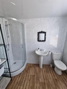 W łazience znajduje się prysznic, toaleta i umywalka. w obiekcie Firbog Nook w mieście Antrim