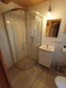 a bathroom with a shower and a sink at Jaś Roztocze in Nielisz