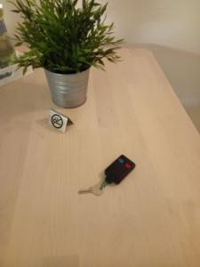 a table with a potted plant and a cell phone on it at Premium apartment in Ciampino