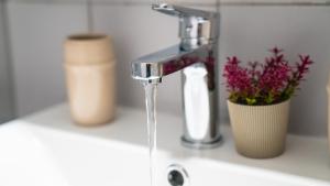 un lavabo de salle de bain avec un robinet avec de l'eau courante dans l'établissement Lux Garden Apartment near Acropolis in the heart of Athens, à Athènes 33 autres photos