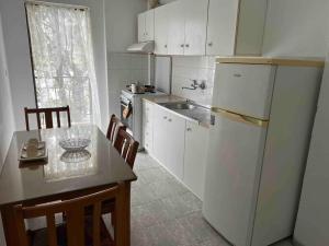 Kuchyň nebo kuchyňský kout v ubytování John apartment