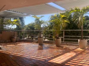 a patio with palm trees and sun shining on it at Espectacular y amplio apartamento amoblado in Barranquilla