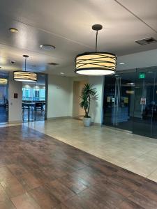 een lege lobby met een potplant en verlichting bij Domain at Kirby in Houston