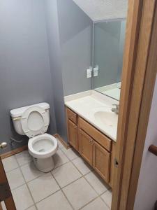 La salle de bains est pourvue de toilettes, d'un lavabo et d'un miroir. dans l'établissement Nice and quiet neighborhood, à Omaha