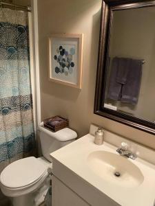 a bathroom with a toilet and a sink and a mirror at Turner's loft / sleeps 4 in the heart of the town in Wilmington