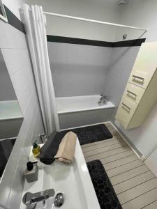 a small bathroom with a sink and a shower at En Salvy : hyper centre + parking gratuit in Albi