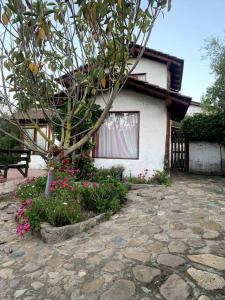 a house with a tree and flowers in front of it at Agradable y Acogedora casa de playa in Papudo