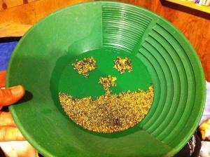 a green plate with gold food on it at talkeetna villas and tours in Talkeetna