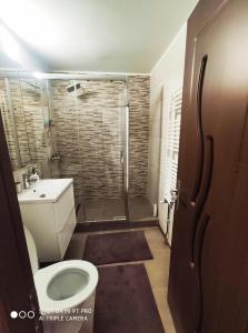 a bathroom with a shower and a toilet and a sink at Maribelle Appartments in Târgovişte