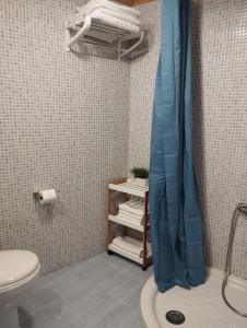 y baño con cortina de ducha y aseo. en Casa Aldea de Abaixo en Lugo