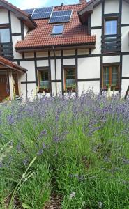 una casa con fiori viola di fronte di Gandelinka Park Kędrzyno 