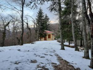 une maison dans les bois avec de la neige au sol dans l'établissement Casa del Castagno: un nido nel castagneto, à Pistoia