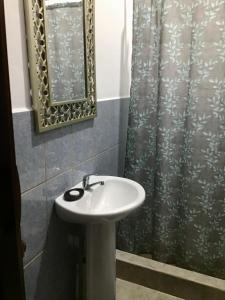 La salle de bains est pourvue d'un lavabo et d'un rideau de douche. dans l'établissement Casa Girasol, à Puerto Viejo