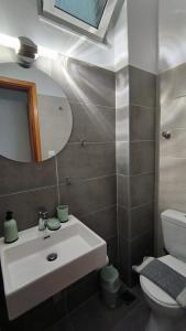 a bathroom with a sink and a mirror and a toilet at Ntaskas apartments in Poulithra