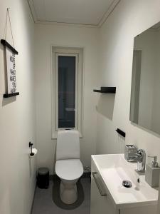 凡戴倫的住宿－Storhogna Torg，白色的浴室设有卫生间和水槽。