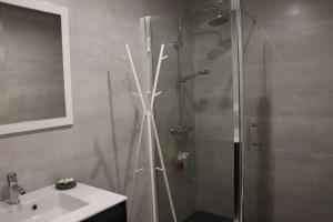 uma casa de banho com um chuveiro e um lavatório. em Apartamento La Verita Santiago em Santiago de Compostela