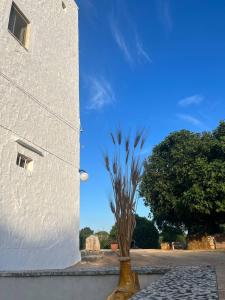 een vaas met een plant er naast een gebouw bij Masseria Helianthus in Ceglie Messapica